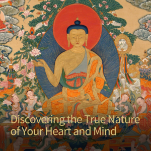 Tibetan Buddhist Meditation Centre - Rigpa Sydney